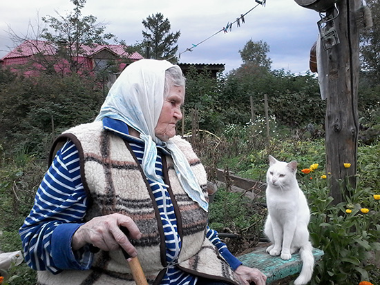 Котовторник  01.03.2016