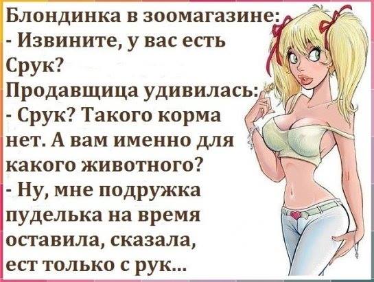 Смешные картинки
