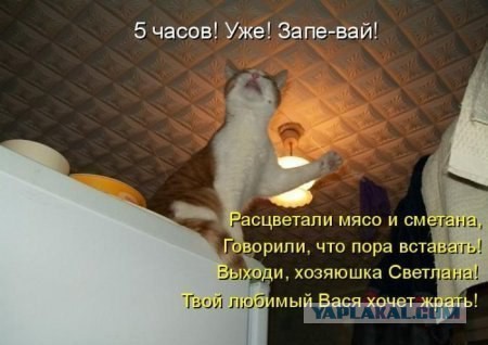 Смешные картинки