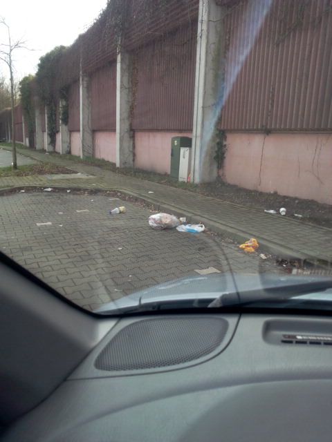 В Австрии беженцы попали в аварию