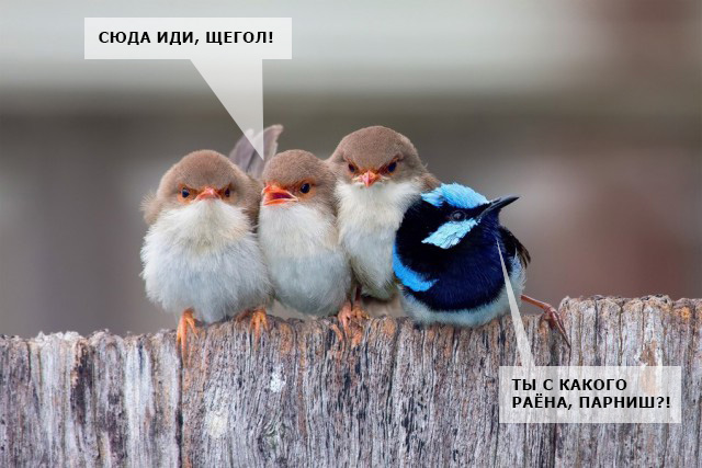 Подборка интересных и веселых фото