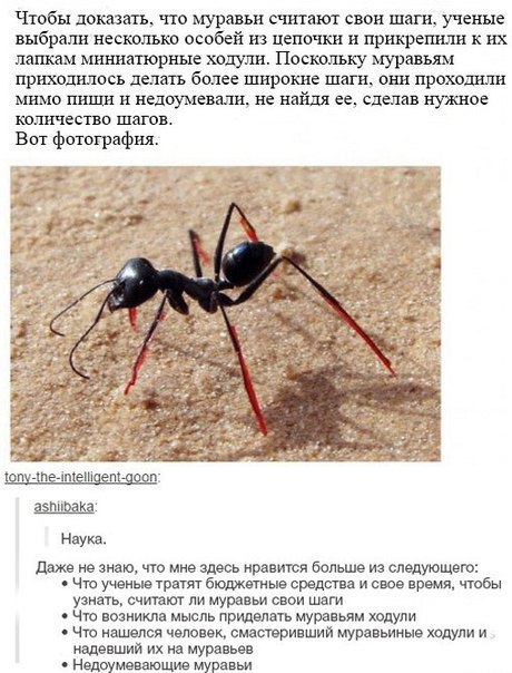 Подборка интересных и прикольных картинок