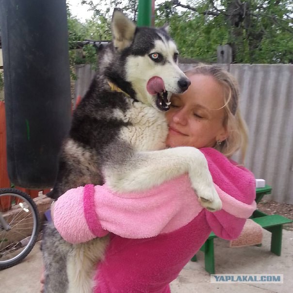 Наша мелочь на котовторник