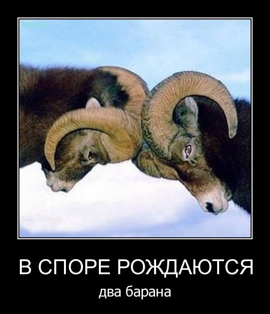 Подборка смешных, не очень и просто красивых фотографий