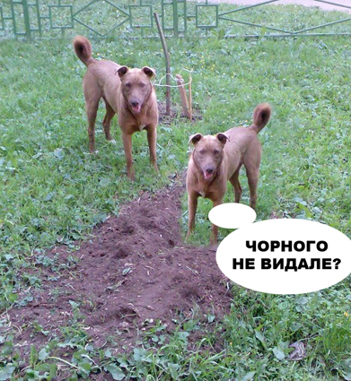 Фотожаба: да здесь где-то недалеко!