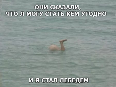 Перед понедельником