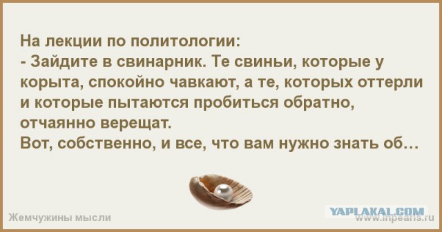 Смешные комментарии 23.10.2016