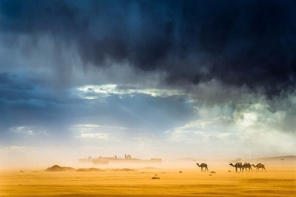 Моменты, запечатлённые на фото и просто позитив 5
