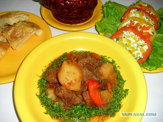 International одной книги., В память о Дженибеке.