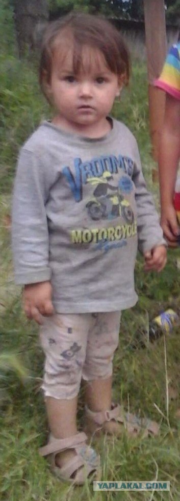 Трехлетняя девочка пропала недалеко от Хабаровска