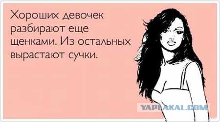 Выпускницы 2017 года