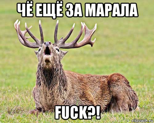 Gятничная подборка школьной наркомании