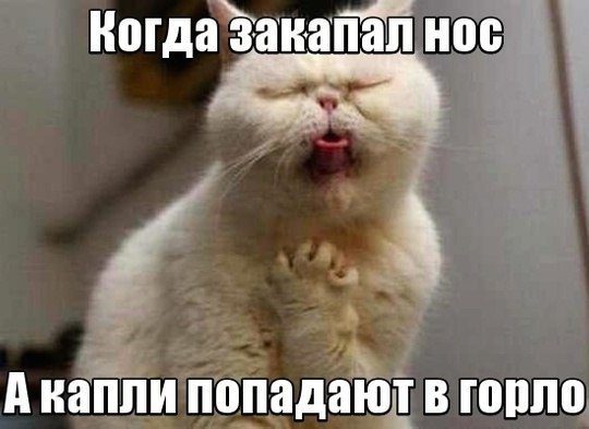 Приколы в стиле "Когда..."