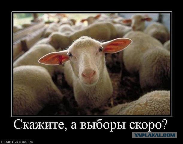 Фальсикицаия на выборах... ЗАЧЕМ?
