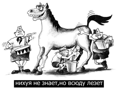 Исландия объявила о временном приостановлении всех контактов с Россией
