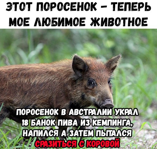 Итоги проверки пользователей