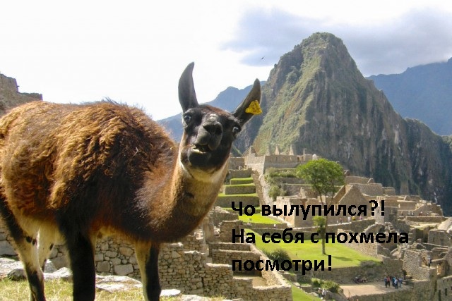 Неудачный кадр