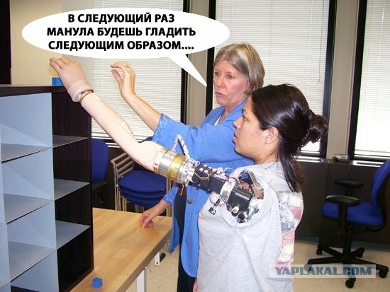 А может все-таки погладим?