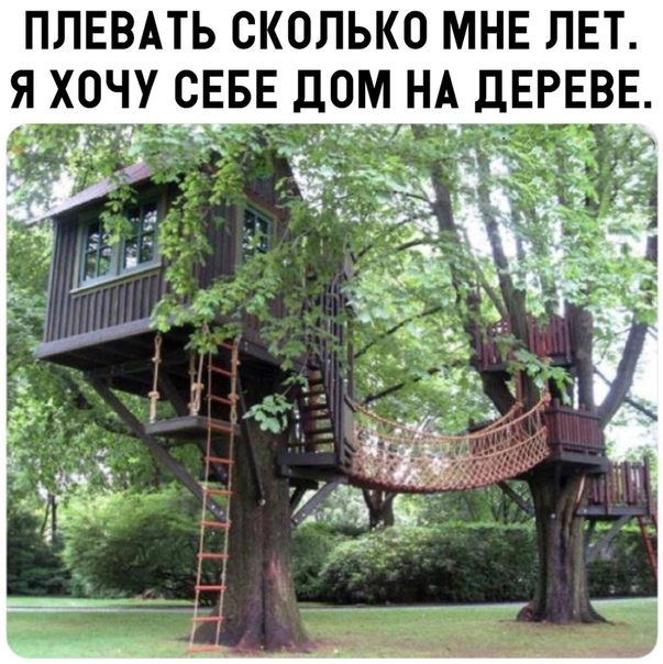 Немного картинок в это воскресенье