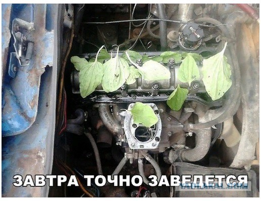 Однажды на СТО