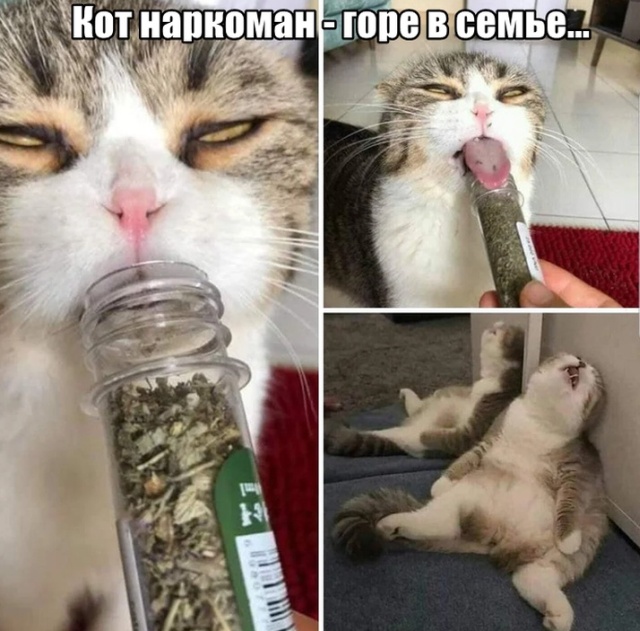 У меня есть любовница