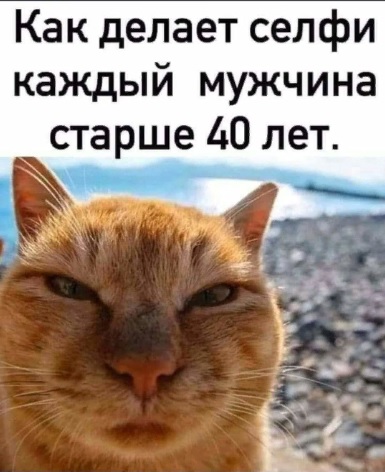 Немного картинок для настроения
