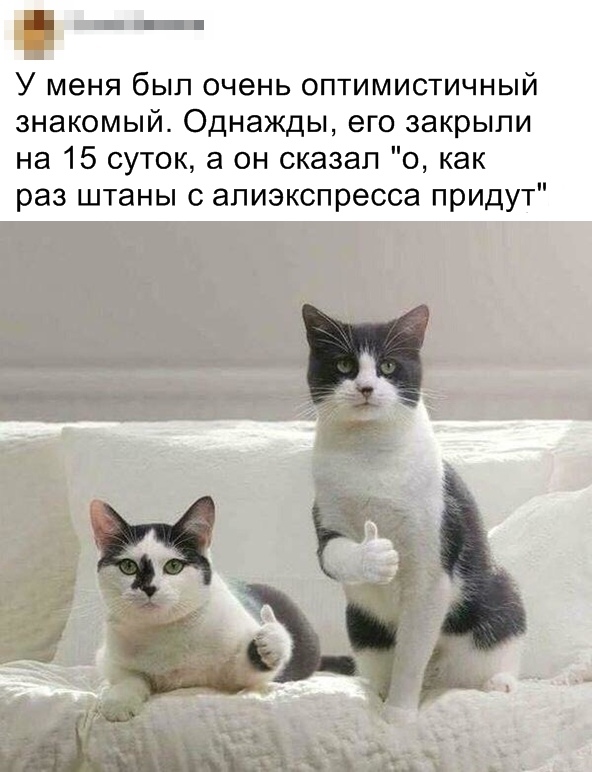 Картинки всякие с надписями! 15.03.20