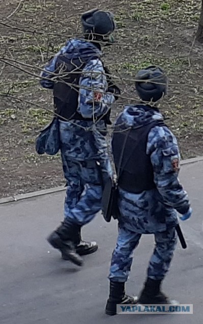 "Бегом бежать надо, бегом! Тут вирус кругом"