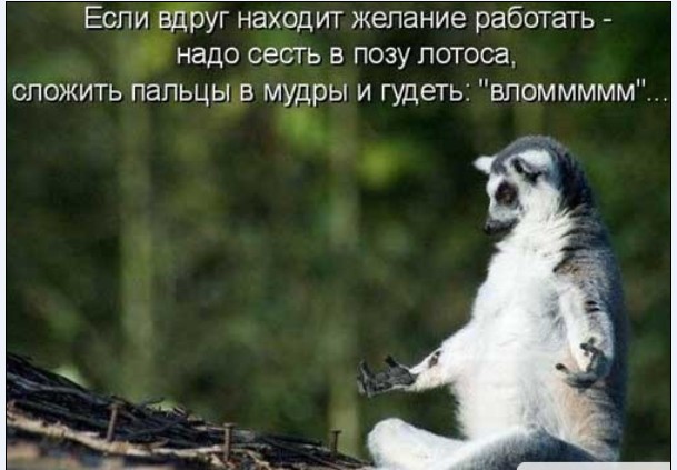 Немного картинок для настроения 77