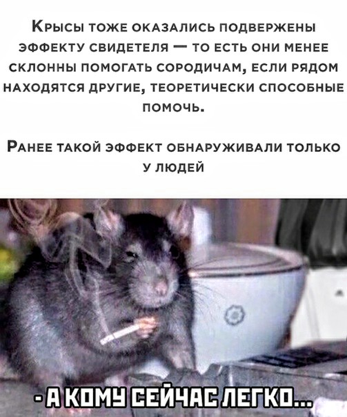 Немного картинок для настроения 11.07.20