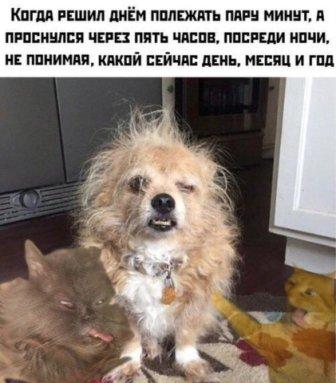 Юмор в картинках 23.08.20