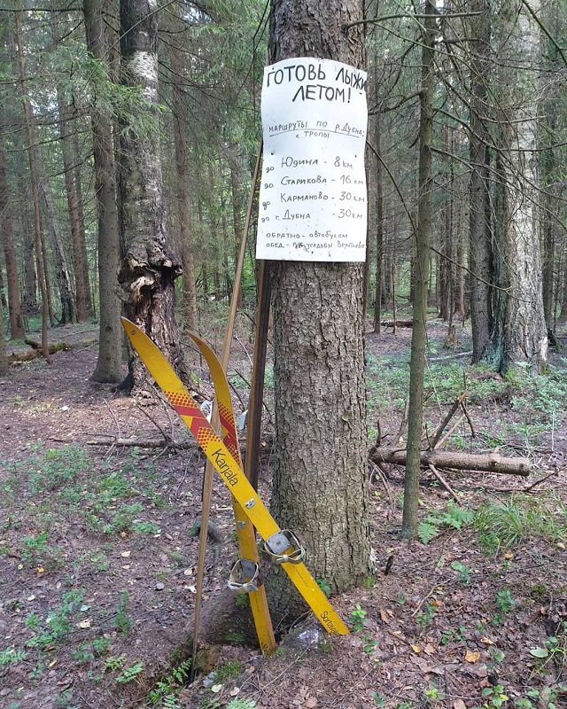 Где больше свободы. РФ против ЕС