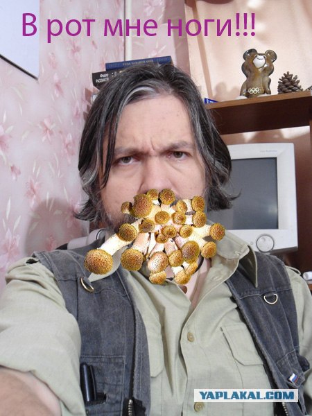 Фотожаба: Да грибам!