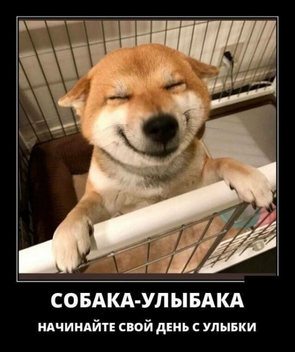 Прикольные и просто красивые картинки 11.03.2021