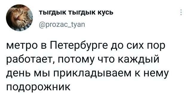 "Солянка" из картинок для улыбнуться или позалипать в среду