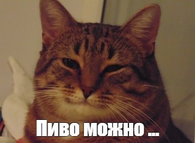 В Израиле отдали приказ готовиться к войне с Ираном