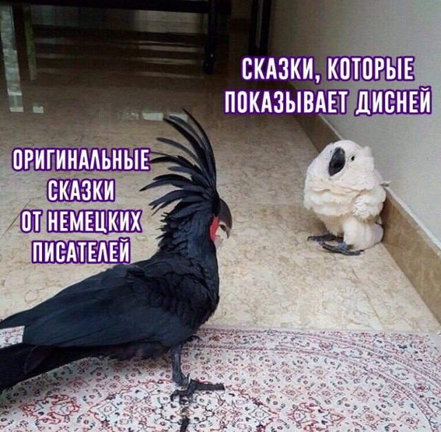 Всякие разные картинки 14.07.21