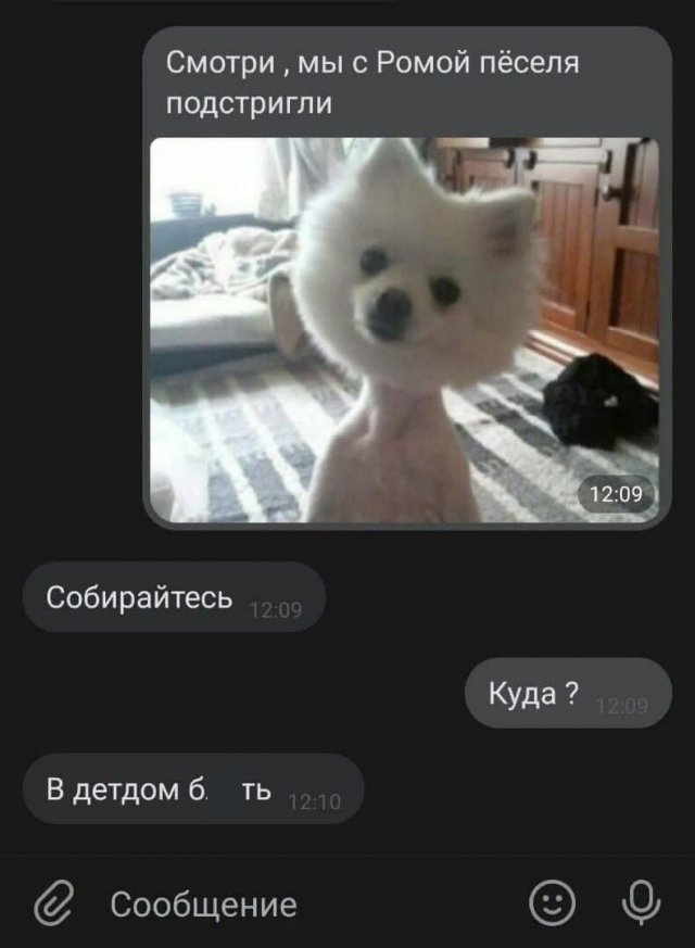 Так себе картинки 19.08.21