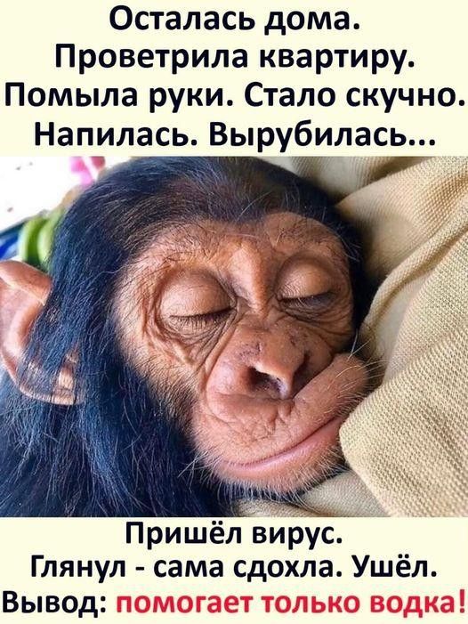 Алкопост 8.10.21