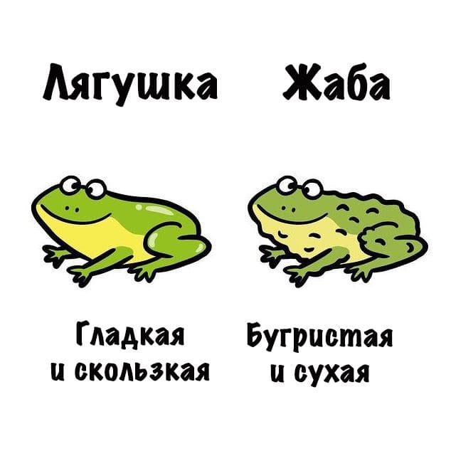 Картинки на субботу