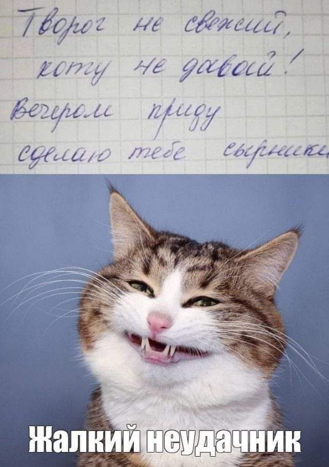 Очередная Хня вам в ленту, дорогие деграданты
