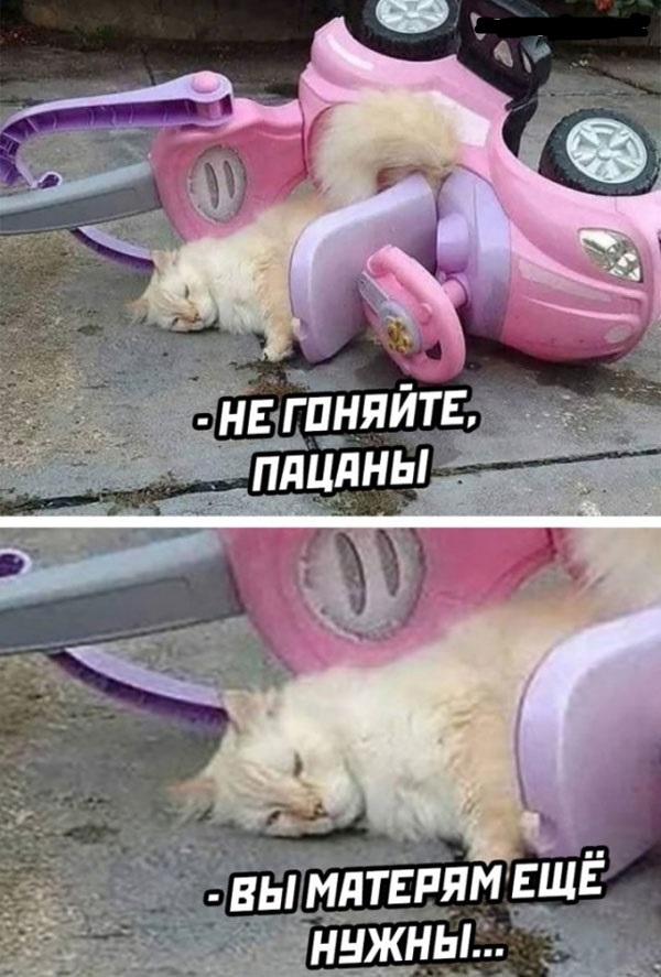 Будем посмотреть картинок