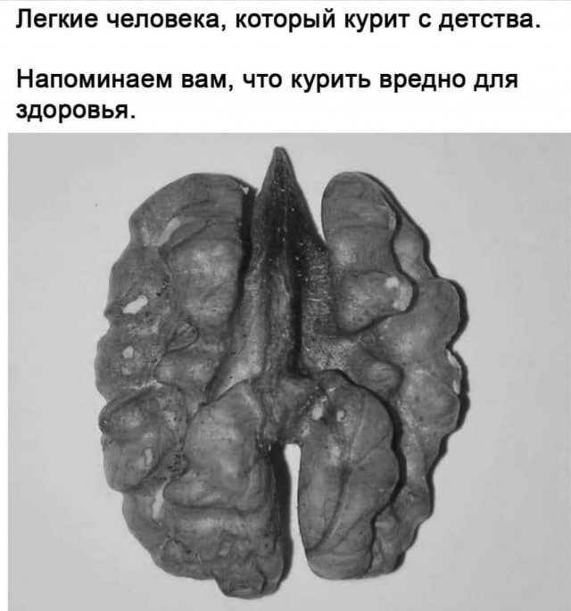 Немного картинок и прочей хреноты Vol. 11