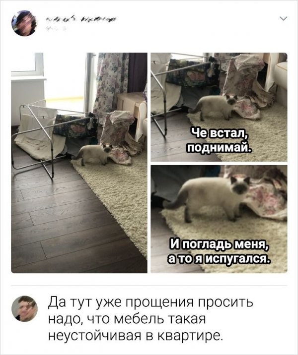 Забавные комментарии из Сети 19.06.22