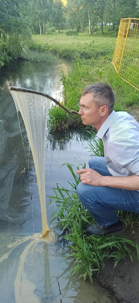 В Подмосковье третий день пытаются очистить реку Лобня от вязкой химической жидкости, убивающей птиц