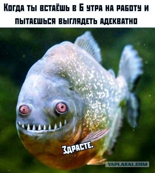 Последствия, с которыми может столкнуться мужчина, решивший создать семью с разведенной