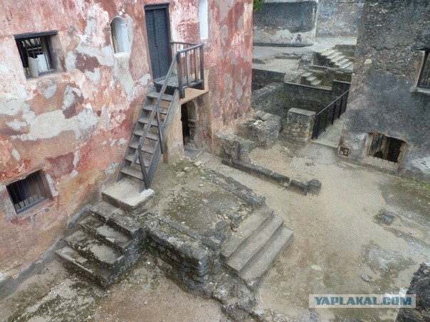 AFRICA - (Эфиопия,Кения,Танзация) 4-16 ноября 2011