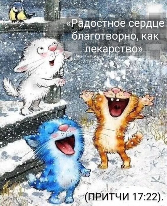 Прикольные и просто красивые картинки 20.12.2022