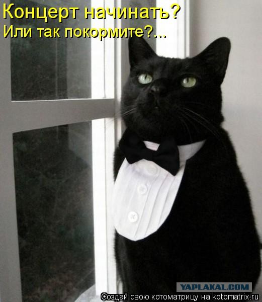 Психолог раскрыла, в каком возрасте мужчине уже не нужна женщина