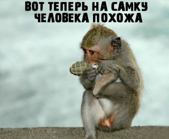 Немного картинок для настроения - 151